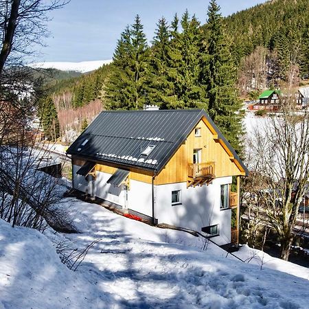 Apartman Reggie - Пец-под-Снежкой Экстерьер фото